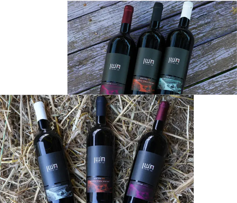 בקבוקי יין אדום